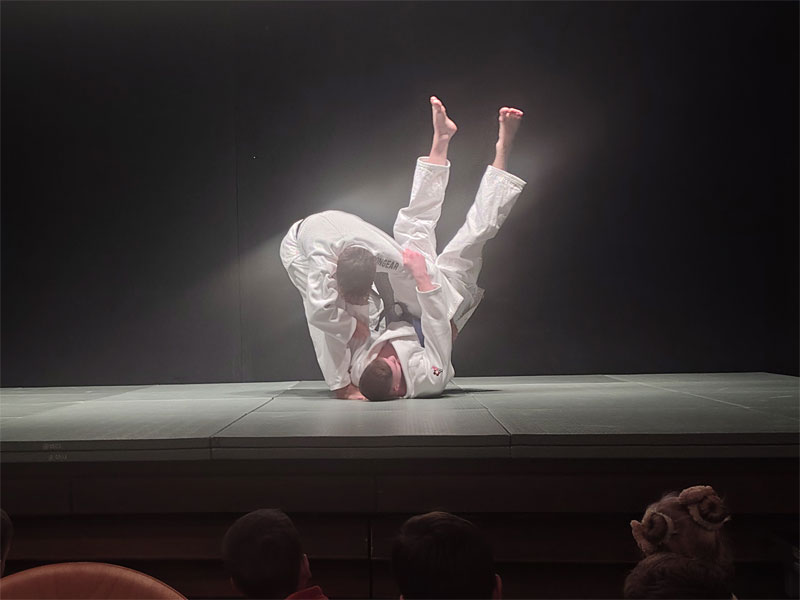 Judosportverein Villingen e.V.