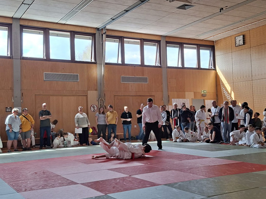 Badischer Judoverband e.V.